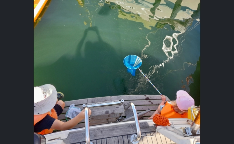 Storebro Royal cruiser 31 biscay-kuva-16